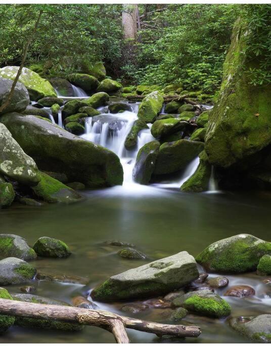 Peace By The Lake Sevierville Bagian luar foto